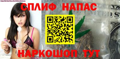 стаф Моздок
