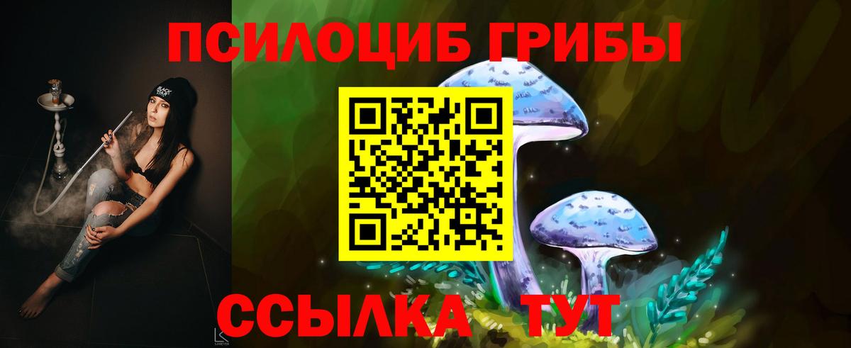 как найти закладки  Псилоцибиновые грибы Psilocybe  Вход с VPN  Псилоцибиновые грибы MAGIC MUSHROOMS  Чайковский 